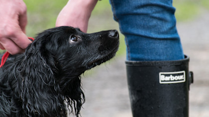 second hand barbour