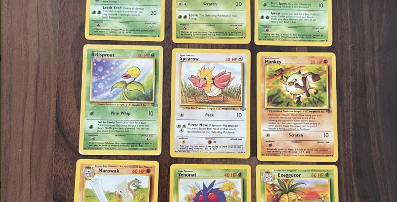 Jungle set