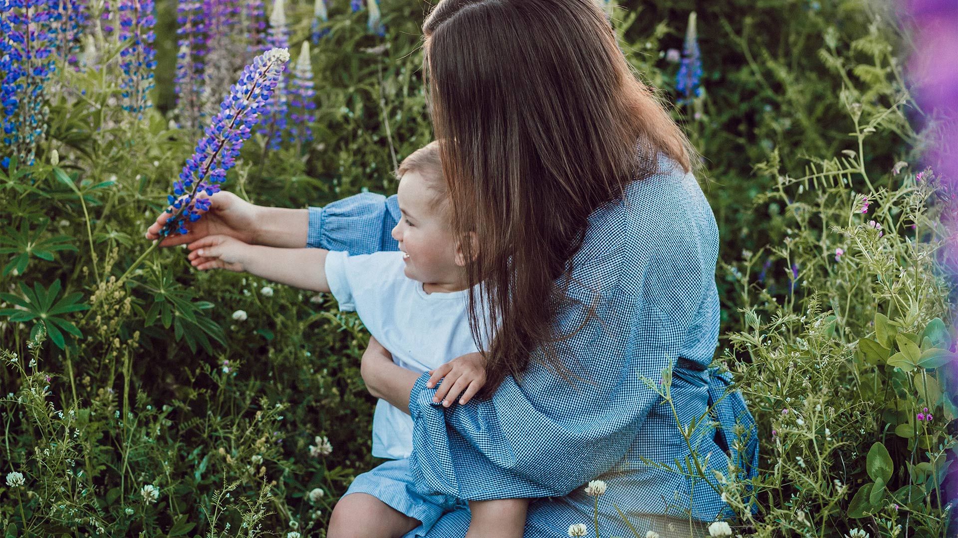 Me&I varumärkesbild