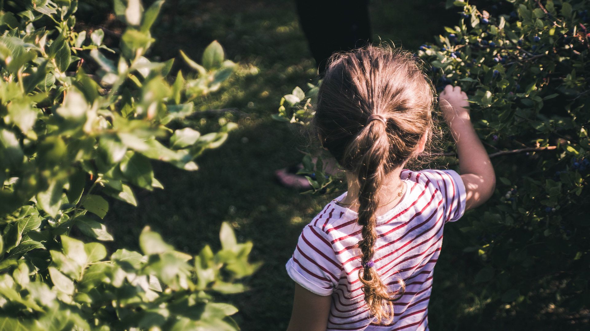 Polarn O. Pyret varumärkesbild