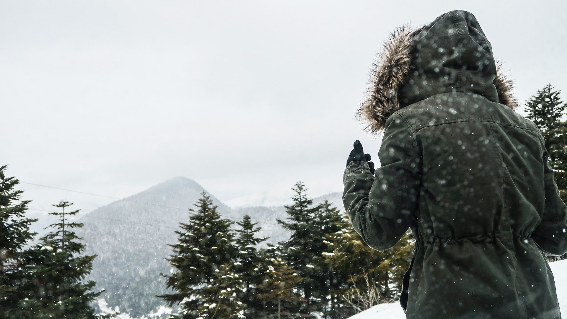 Woolrich varumärkesbild