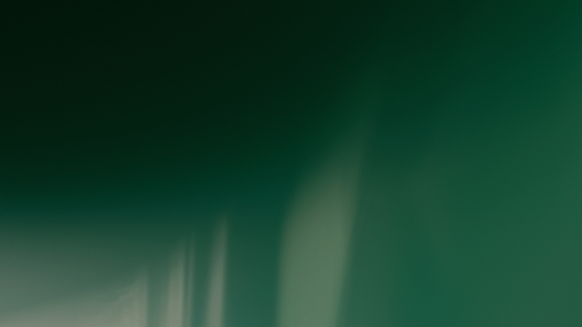 Valentino Garavani varumärkesbild