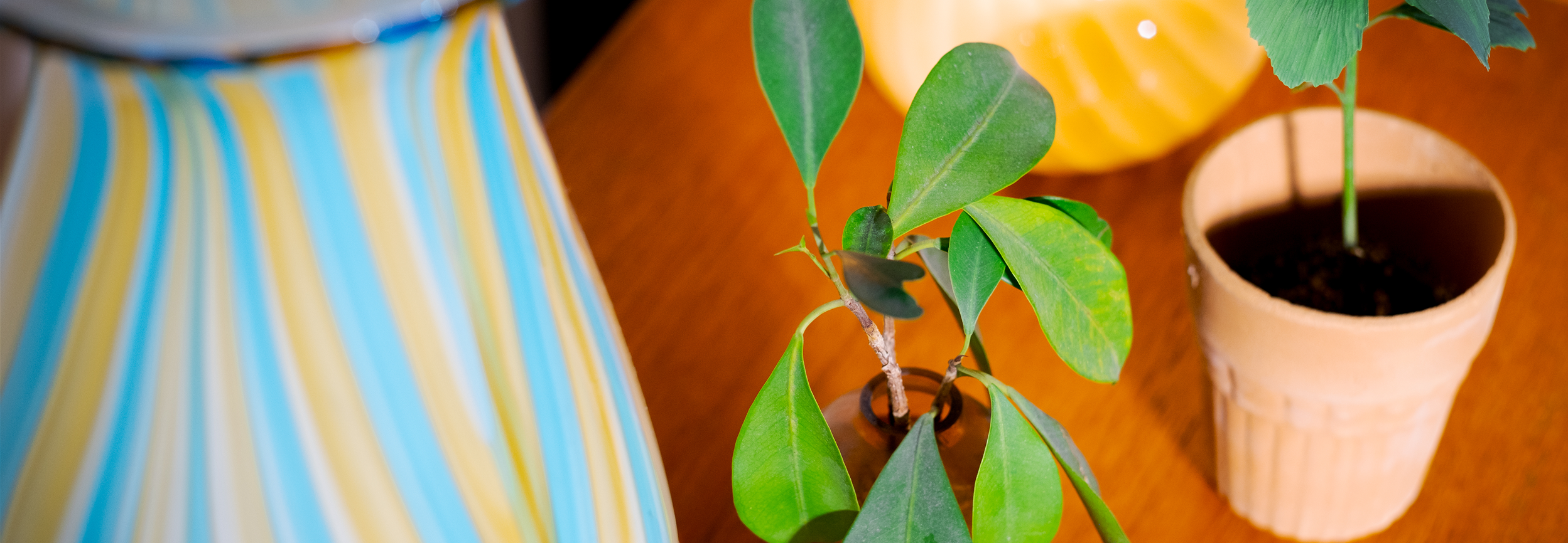 Start page cover image